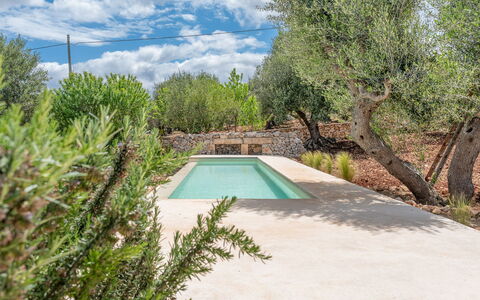 Villa La Selva: Water, Plant, Plant Community, Sky, Cloud, Swimming Pool, Natural Landscape, Tree, Shade, Landscape