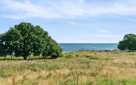 Leoni - 115M from the Sea: Wood, Roof, Architecture, Home, House, Cottage, Siding, Hardwood, Slope, Estate