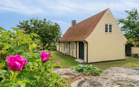 Øde - 100M from the Sea: Grass, Grassland, Landscape, Ecoregion, Plain, Plant Community, Land Lot, Outdoor Furniture, Prairie, Shrubland