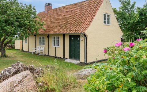 Øde - 100M from the Sea: Grass, Grassland, Landscape, Ecoregion, Plain, Plant Community, Land Lot, Outdoor Furniture, Prairie, Shrubland