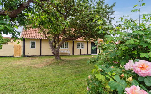 Øde - 100M from the Sea: Grass, Grassland, Landscape, Ecoregion, Plain, Plant Community, Land Lot, Outdoor Furniture, Prairie, Shrubland