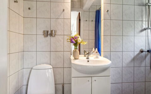 Throtti - 50M from the Sea: Wall, Plumbing Fixture, Interior Design, Flooring, Bathroom Sink, Bathroom, Floor, Sink, Plumbing, Room