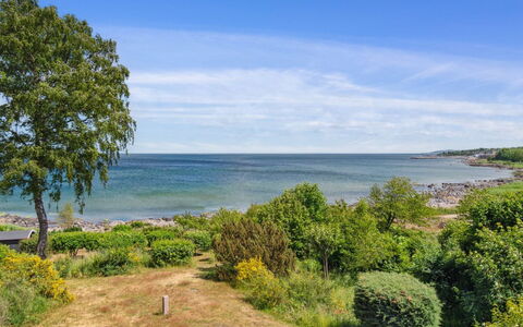 Throtti - 50M from the Sea: Blue, Water, Body Of Water, Vegetation, Coast, Natural Landscape, Horizon, Coastal And Oceanic Landforms, Sea, Summer