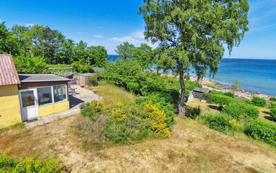 Throtti - 50M from the Sea