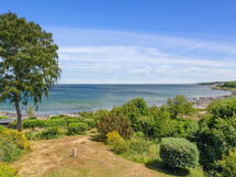 Throtti - 50M from the Sea