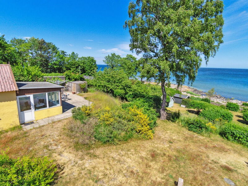 Throtti - 50M from the Sea