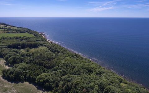 Agir - 200M from the Sea: Wood, Roof, Architecture, Home, House, Cottage, Siding, Hardwood, Slope, Estate