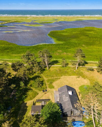 Felis - 575M from the Sea