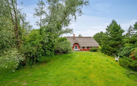Wiss - 4.1Km from the Sea: Grass, Wood, Rural Area, Shrub, Cottage, Roof, Plain, Land Lot, Home, Groundcover