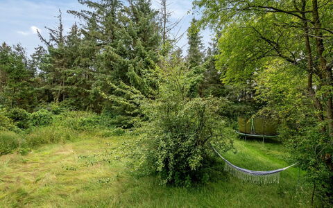 Wiss - 4.1Km from the Sea: Grass, Wood, Rural Area, Shrub, Cottage, Roof, Plain, Land Lot, Home, Groundcover
