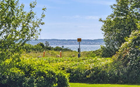 Hermund - 100M from the Sea: Sky, Blue, Green, Nature, Grass, Leaf, Vegetation, Natural Landscape, Shrub, Landscape