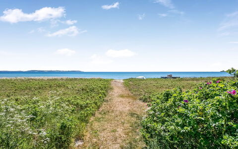 Dagny - 100M from the Sea: Blue, Green, Natural Environment, Horizon, Summer, Ecoregion, Grassland, Sea, Plant Community, Ocean