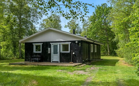 Lonneke - 800M from the Sea: Grass, Grassland, Land Lot, Cottage, Rural Area, Meadow, Garden Buildings, Garden, Shed