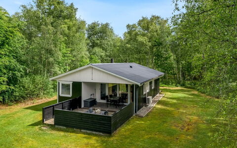Lonneke - 800M from the Sea: Grass, Grassland, Land Lot, Cottage, Rural Area, Meadow, Garden Buildings, Garden, Shed