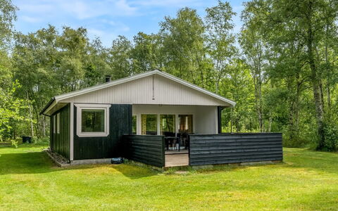 Lonneke - 800M from the Sea: Grass, Grassland, Land Lot, Cottage, Rural Area, Meadow, Garden Buildings, Garden, Shed