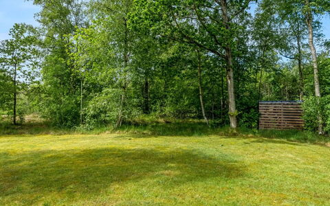 Lonneke - 800M from the Sea: Grass, Grassland, Land Lot, Cottage, Rural Area, Meadow, Garden Buildings, Garden, Shed