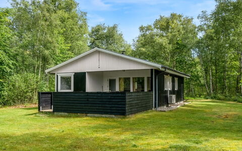 Lonneke - 800M from the Sea: Grass, Grassland, Land Lot, Cottage, Rural Area, Meadow, Garden Buildings, Garden, Shed