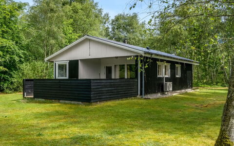 Lonneke - 800M from the Sea: Grass, Grassland, Land Lot, Cottage, Rural Area, Meadow, Garden Buildings, Garden, Shed