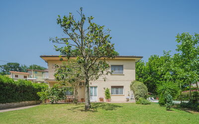Camaiore 697