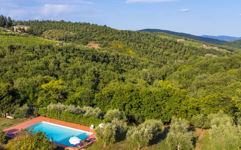 Castellina in Chianti 647: Cloud, Plant, Sky, Plant Community, Green, Natural Landscape, Water, Land Lot, Tree, Grass