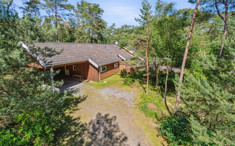 Auvo - 200M from the Sea: Wood, Roof, Architecture, Home, House, Cottage, Siding, Hardwood, Slope, Estate