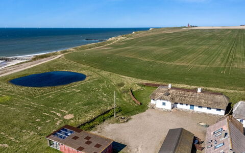 Vili - 100M from the Sea: Grass, Grassland, Plain, Land Lot, Landscape, Rural Area, Cottage, Field, Pasture, Meadow