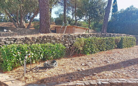 Le Belvédère D'Estelle: Shrub, Plant Community, Garden, Groundcover, Woody Plant, Stone Wall, Soil, Hedge, Landscaping