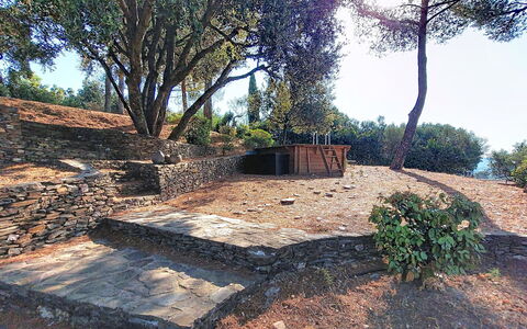 Le Belvédère D'Estelle: Tree, Trunk, Woody Plant, Soil, Shade, Landscaping, Stone Wall, Shadow, Walkway