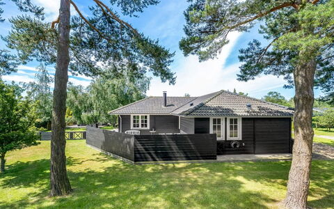 Felicia - 350M from the Sea: Wood, Home, Porch, Deck, Hardwood, Roof, Wood Stain, Wood Flooring, Eco Hotel