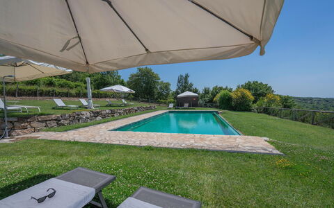 Chiara House In Galenda, Chianti, Pool And Nature: Property, Plant, Water, Building, Shade, Outdoor Furniture, Swimming Pool, Umbrella, Sky, Rectangle