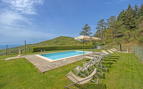 La Montanina: Sky, Water, Plant, Cloud, Natural Landscape, Swimming Pool, Tree, Outdoor Furniture, Land Lot, Shade