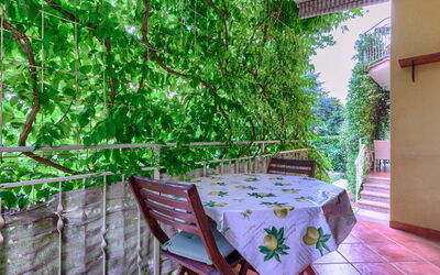 Accommodation:&nbsp;Amaii 309.1