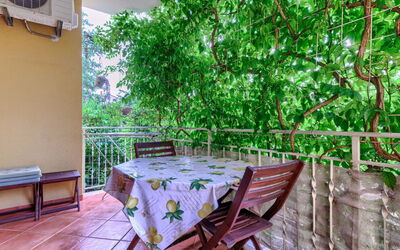 Accommodation:&nbsp;Amaii 309.1