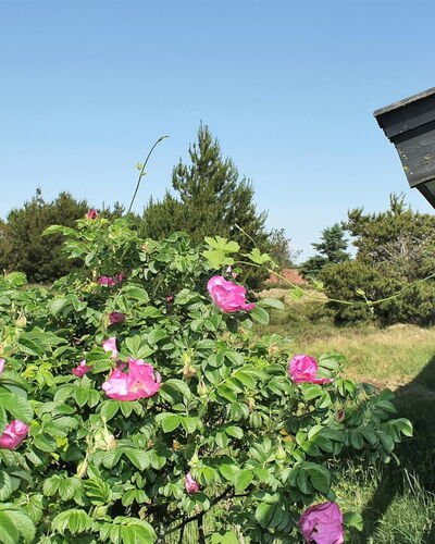 Srebrenka - 1.2Km from the Sea