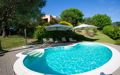 Villa Gelso: Water, Plant, Property, Sky, Swimming Pool, Azure, Tree, Nature, Outdoor Furniture, Body Of Water