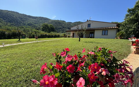 Casa Viviani: Flower, Sky, Plant, Property, Nature, Window, Natural Landscape, Tree, Petal, Vegetation