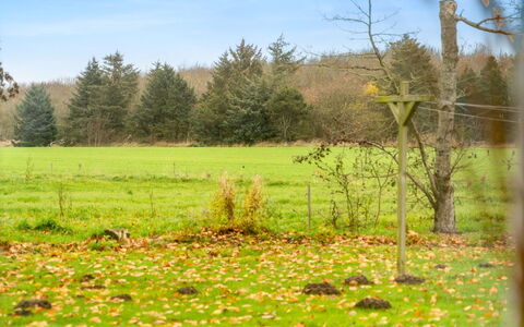 Thorgot - 3Km from the Sea: Green, Grass, Leaf, Natural Environment, Grassland, Natural Landscape, Plain, Pasture, Land Lot, Meadow