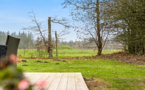 Thorgot - 3Km from the Sea: Green, Grass, Tree, Nature, Leaf, Branch, Natural Landscape, Vegetation, Shrub, Landscape