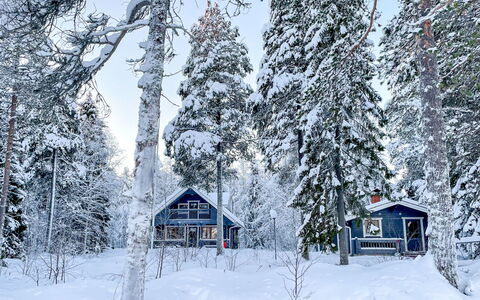 Villa Wirtanen: Snow, Winter, Tree, Branch, Wood, House, Cottage, Home, Freezing, Twig