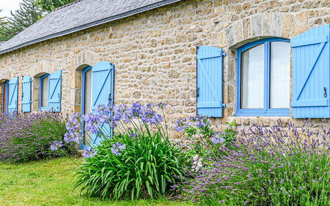 Pen Er Hoët: Plant, Flower, Window, Blue, Botany, Building, Vegetation, Grass, Shrub, Real Estate