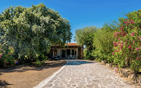La Casa dei Nonni: Shrub, Garden, Shade, Flagstone, Landscaping, Yard, Driveway, Hacienda, Backyard, Farmhouse