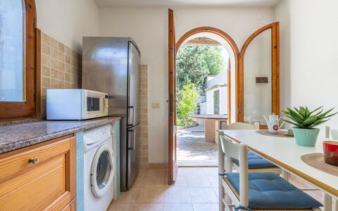 Approdo: Plant, Cabinetry, Property, Countertop, Furniture, Houseplant, Flowerpot, Table, Kitchen Appliance, Wood