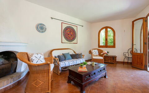 Approdo: Furniture, Plant, Couch, Building, Table, Comfort, Houseplant, Wood, Window, Interior Design