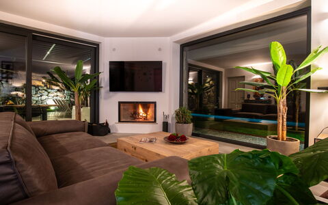 Villa Paradise: Plant, Property, Green, Houseplant, Lighting, Interior Design, Couch, Comfort, Floor, Living Room