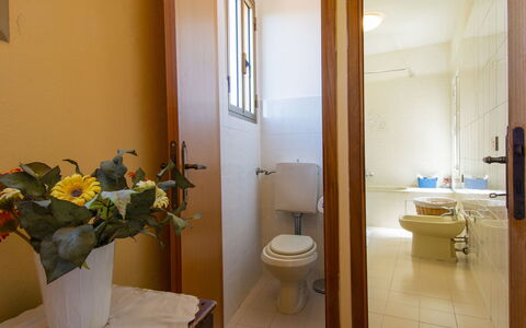 Nide: Property, Flower, Plant, Sink, Plumbing Fixture, Bathroom, Floor, Flooring, Building, Vase