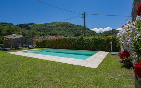 Nide: Sky, Plant, Azure, Flower, Rectangle, Grass, Shade, Leisure, Swimming Pool, Landscape