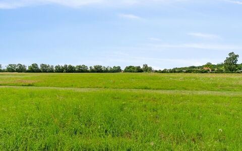Simon - 1Km from the Sea: Thatching, Cottage, House, Roof, Home, Farmhouse, Hut, Estate, Village