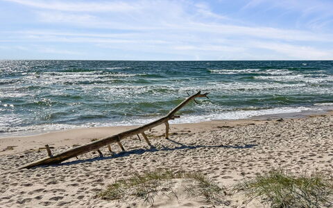 Nea - 600M from the Sea: Blue, Body Of Water, Beach, Wood, Coast, Sea, Coastal And Oceanic Landforms, Shore, Ocean