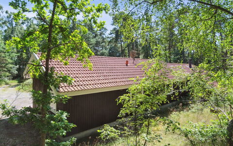 Nea - 600M from the Sea: Tree, Leaf, Grass, Wood, Vegetation, Shrub, Rural Area, Plant Community, Land Lot