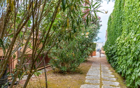 Fano Suite Apartment: Plant, Terrestrial Plant, Grass, Natural Landscape, Road Surface, Shrub, Tree, Arecales, Sky, Landscape